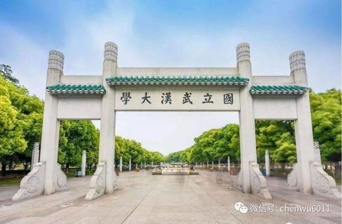 武汉大学就业报告 选择考公务员 选调生等人数大幅增加