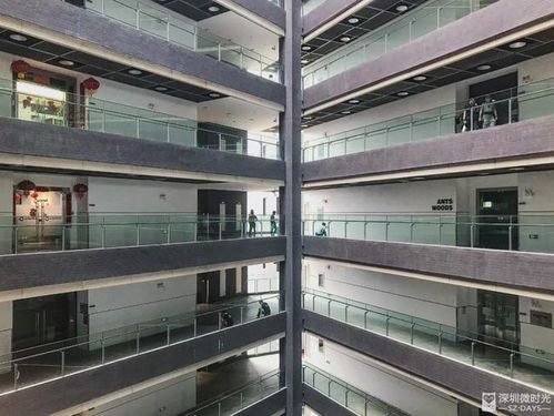 我在深圳摩天高楼做普工 月薪3000,不想回流水线