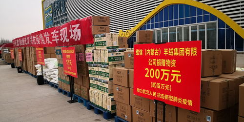 巴彦淖尔市捐赠300万元 天赋河套 优质农产品驰援武汉