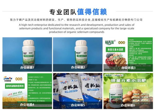 武汉中地西能 深耕湖北富硒食品加工,引领健康饮食新潮流